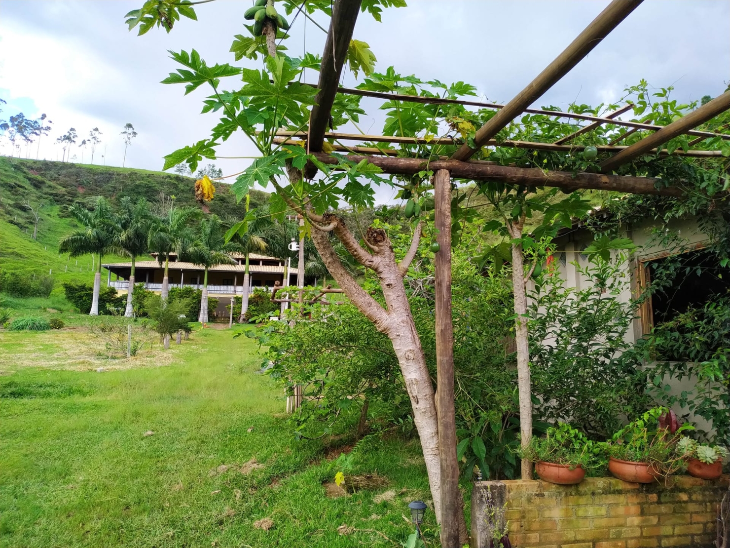 Sítio, 4 quartos, 9 hectares - Foto 10