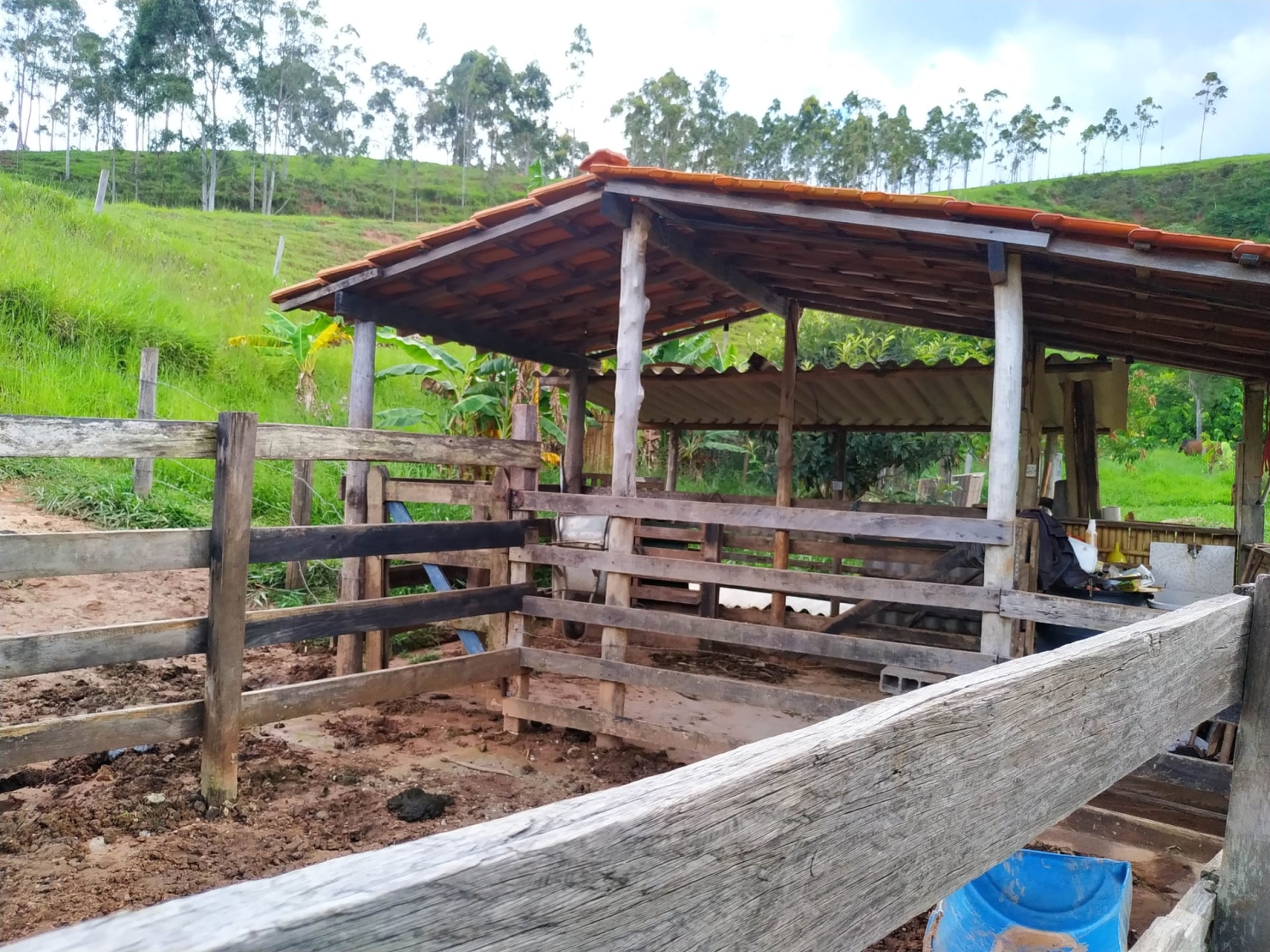 Sítio, 4 quartos, 9 hectares - Foto 19