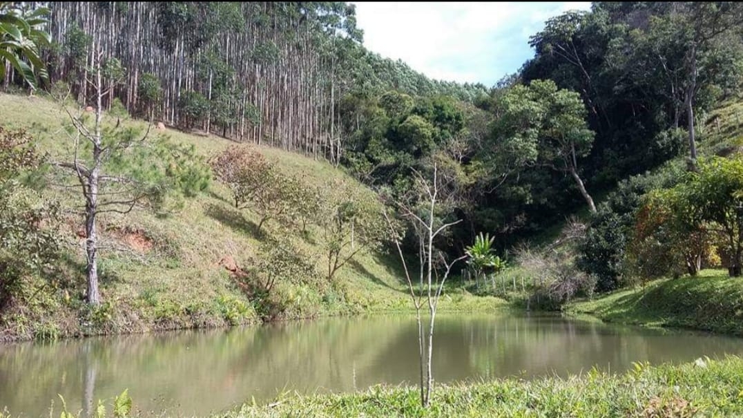 Fazenda, 145 hectares - Foto 3