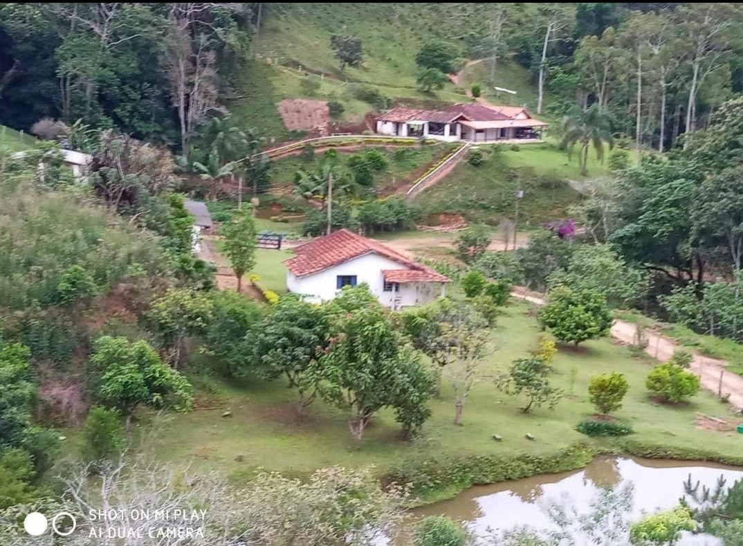 Fazenda, 145 hectares - Foto 4
