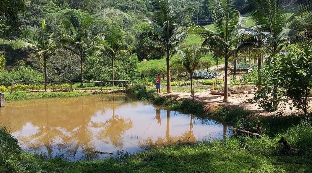 Fazenda, 145 hectares - Foto 6