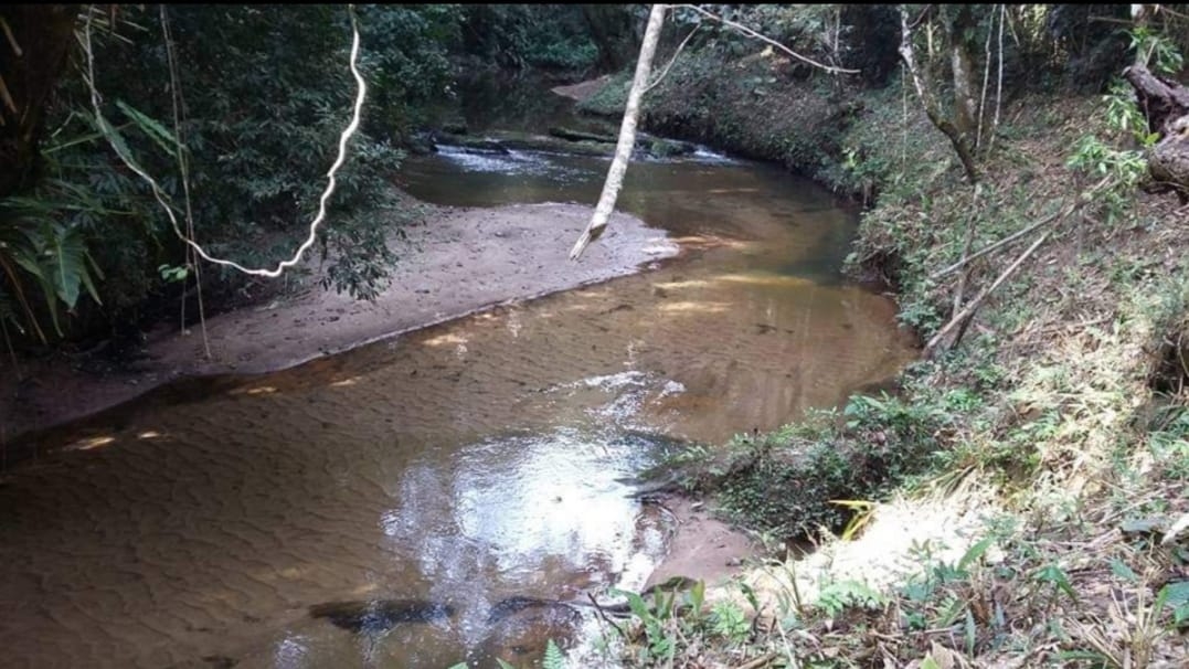 Fazenda, 145 hectares - Foto 11