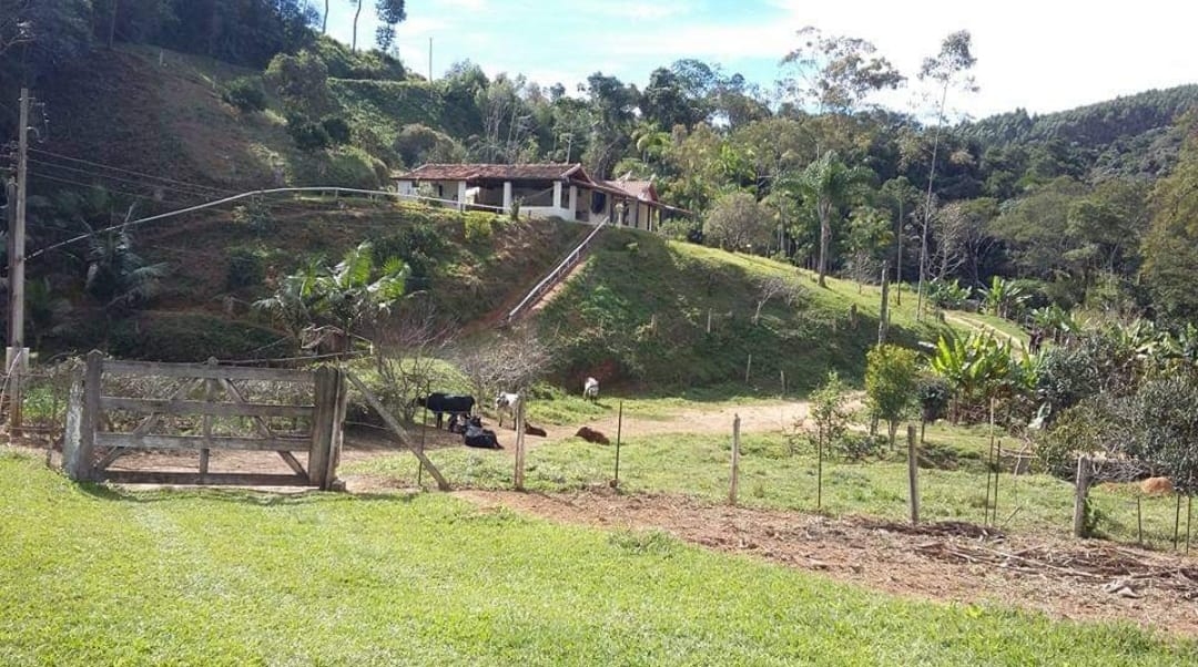 Fazenda, 145 hectares - Foto 12