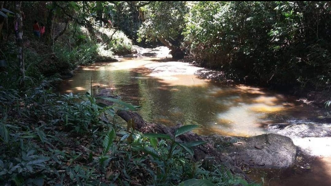 Fazenda, 145 hectares - Foto 14