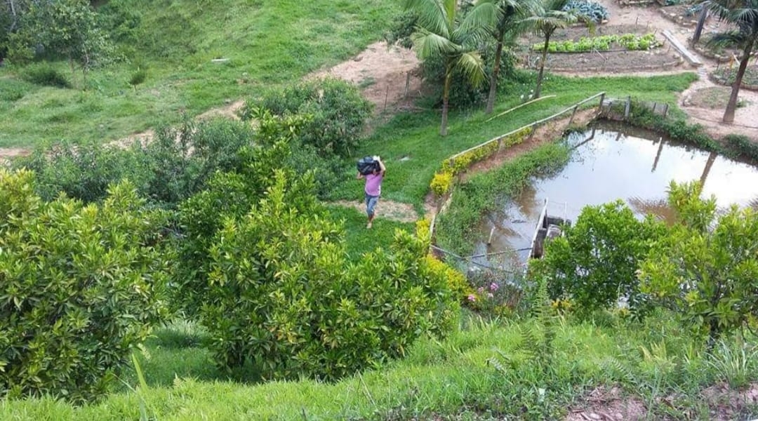 Fazenda, 145 hectares - Foto 16
