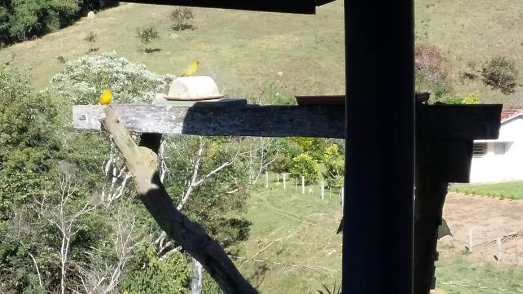 Fazenda, 145 hectares - Foto 18