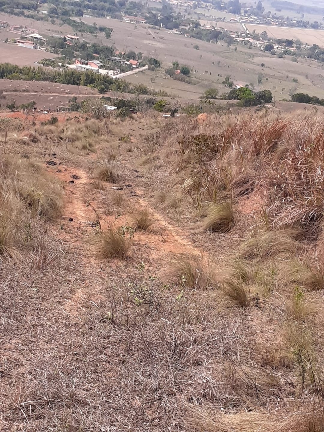Terreno à venda, 20000m² - Foto 4