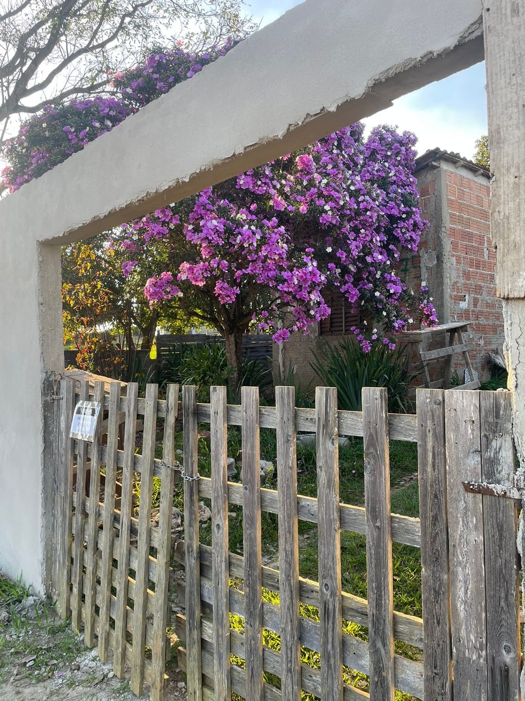 Sítio, 2 quartos, 500 m² - Foto 10