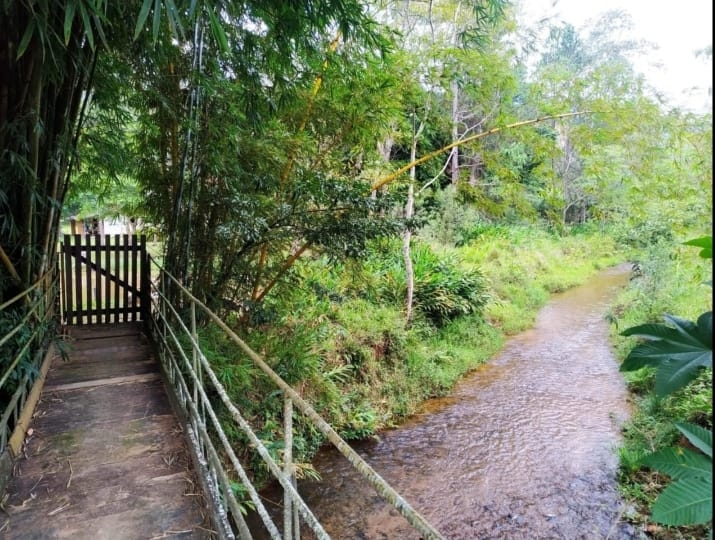 Sítio, 3 quartos, 49 hectares - Foto 1