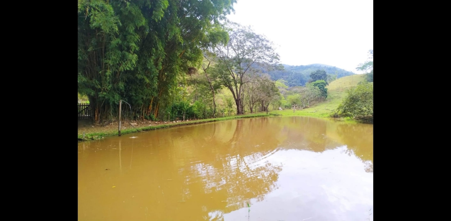 Sítio, 3 quartos, 49 hectares - Foto 2