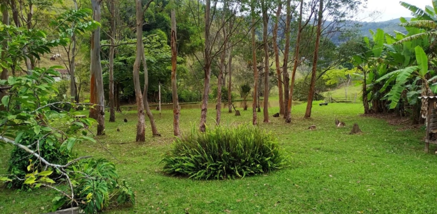 Sítio, 3 quartos, 49 hectares - Foto 6