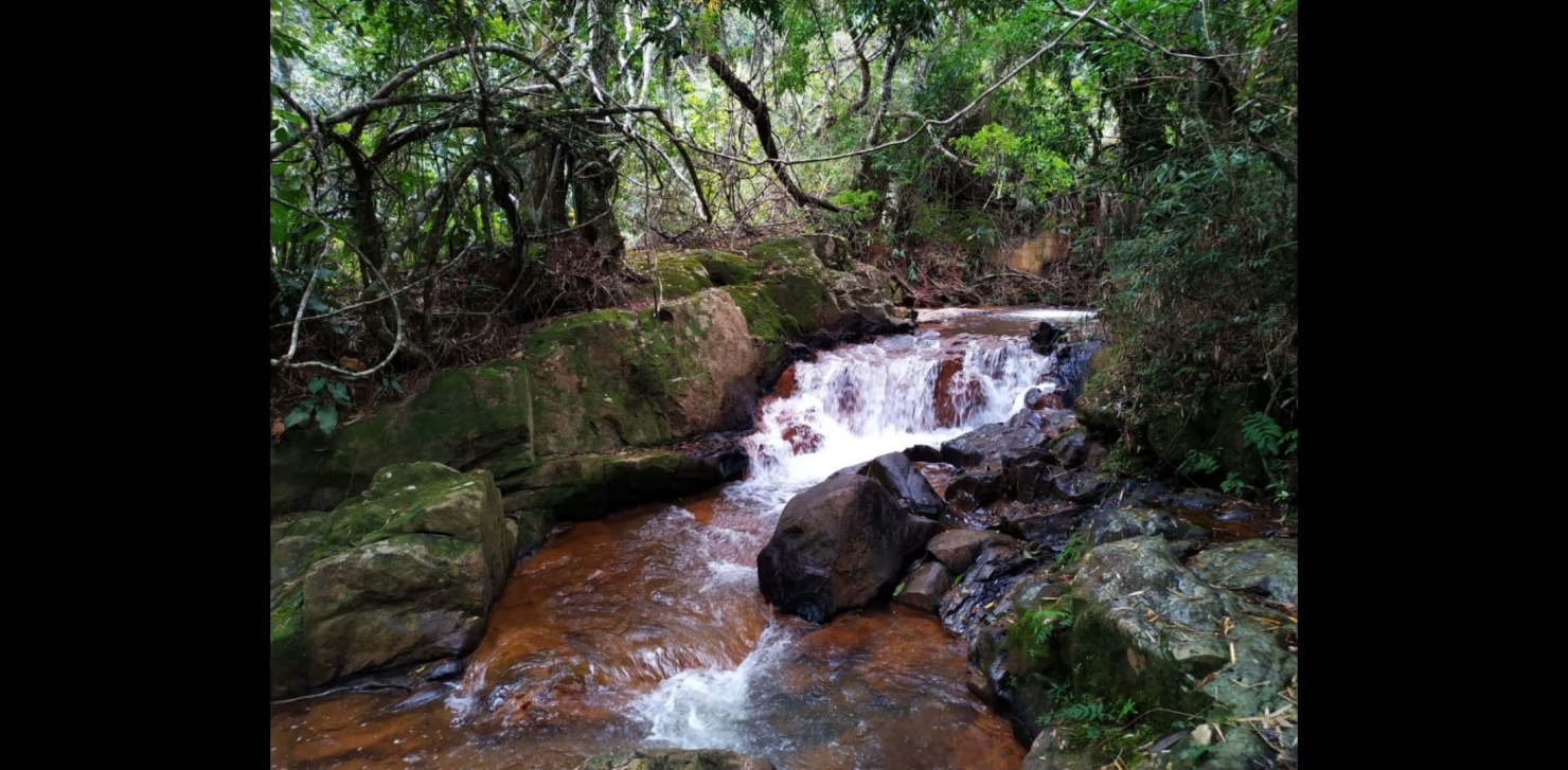 Sítio, 3 quartos, 49 hectares - Foto 9