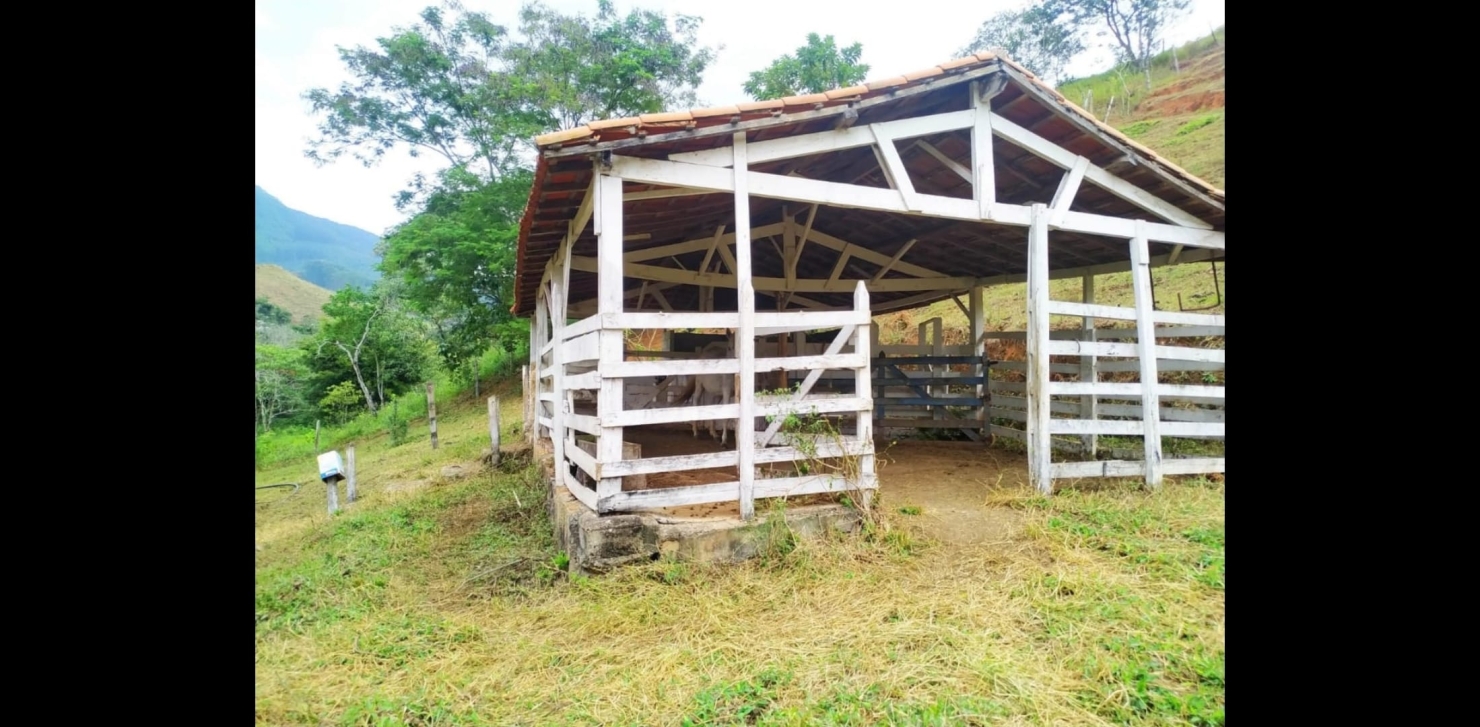 Sítio, 3 quartos, 49 hectares - Foto 13