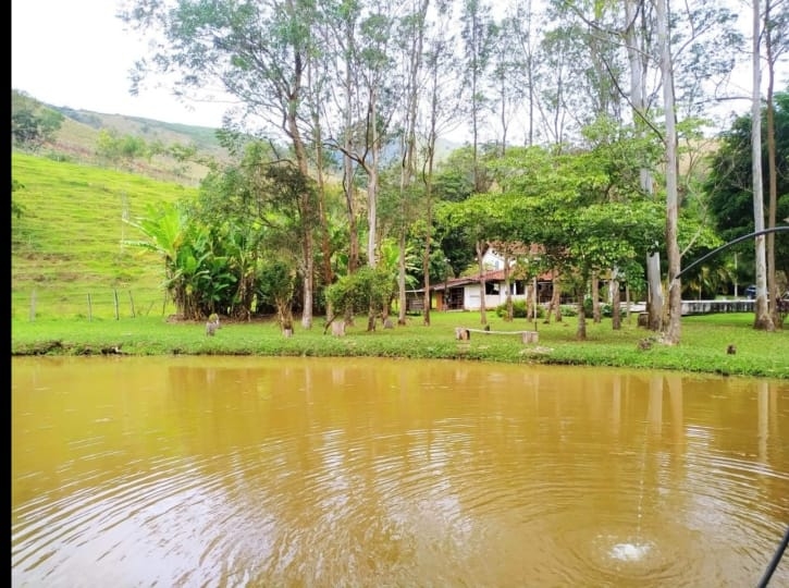 Sítio, 3 quartos, 49 hectares - Foto 16