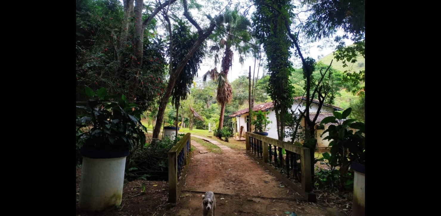 Sítio, 3 quartos, 49 hectares - Foto 17