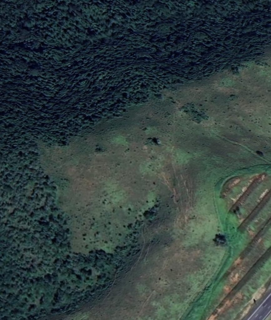 Terreno, 67 hectares - Foto 6