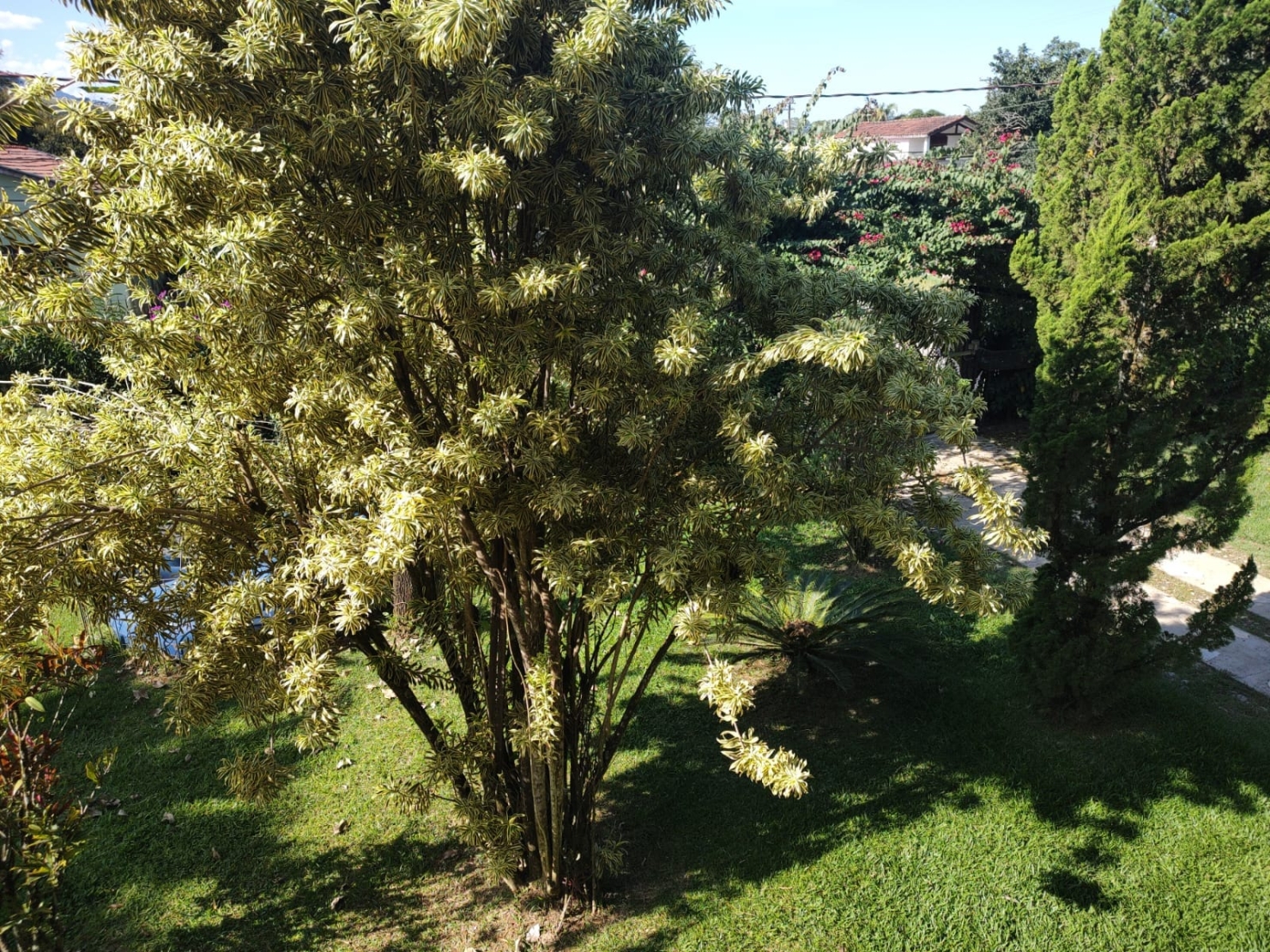 Sítio, 5 quartos, 5400 m² - Foto 37