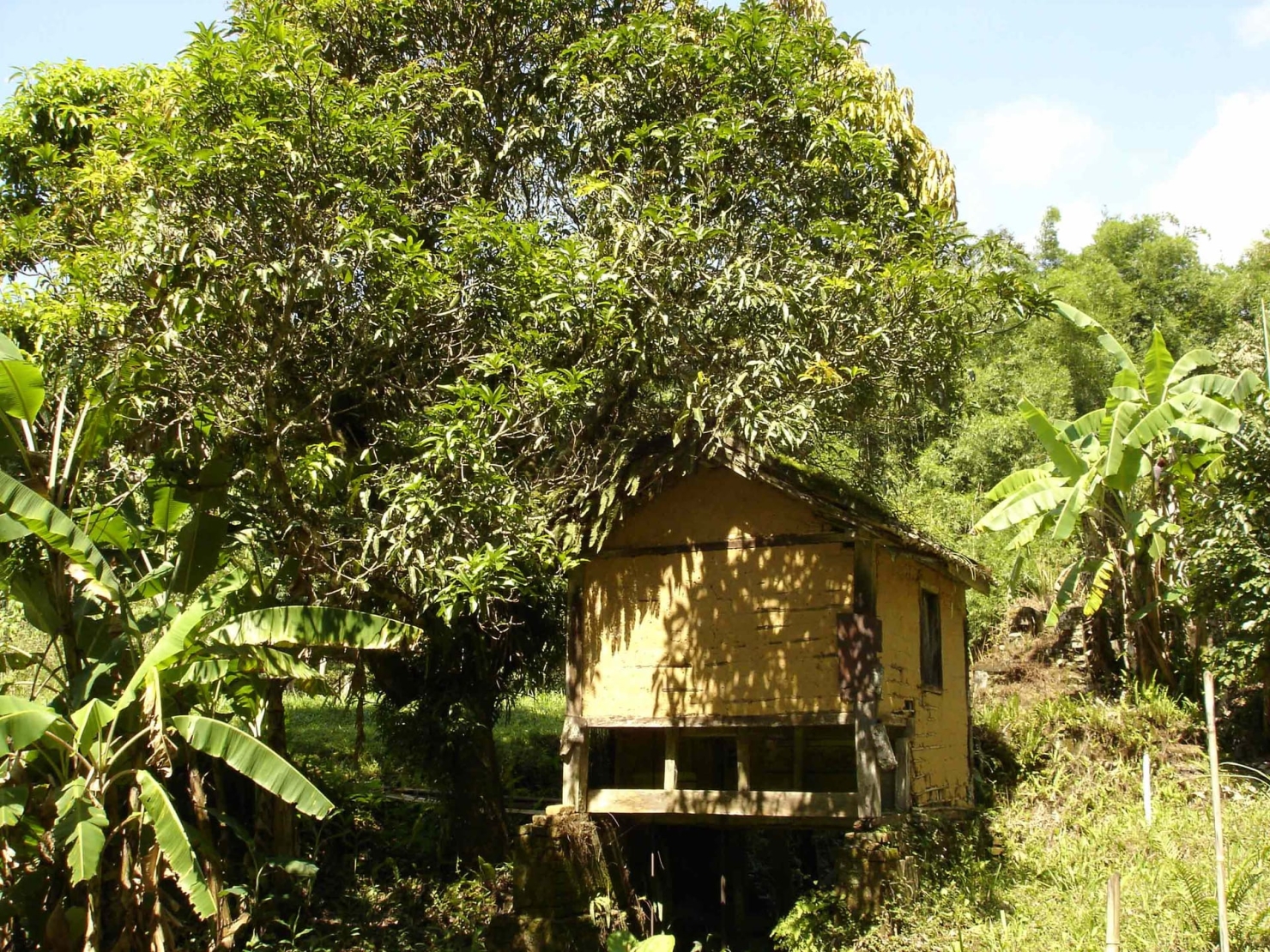 Sítio à venda com 3 quartos, 500m² - Foto 1