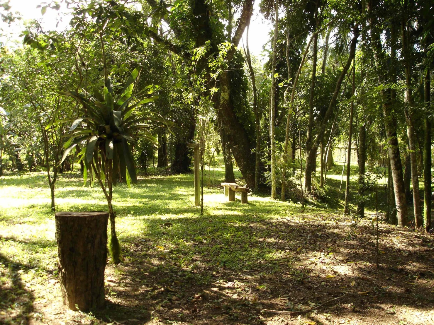 Sítio à venda com 3 quartos, 500m² - Foto 4