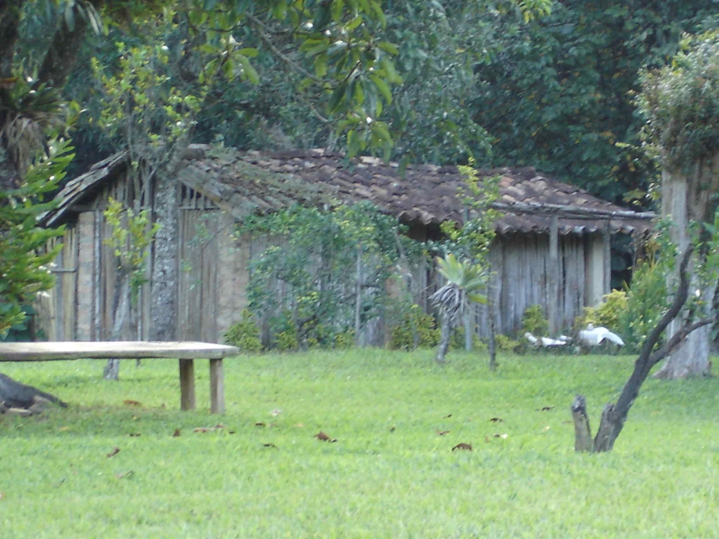 Sítio à venda com 3 quartos, 500m² - Foto 8