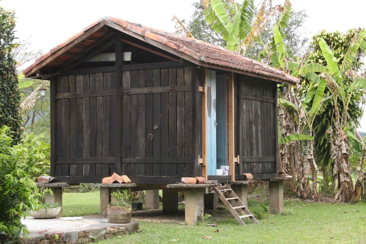 Sítio à venda com 3 quartos, 500m² - Foto 9