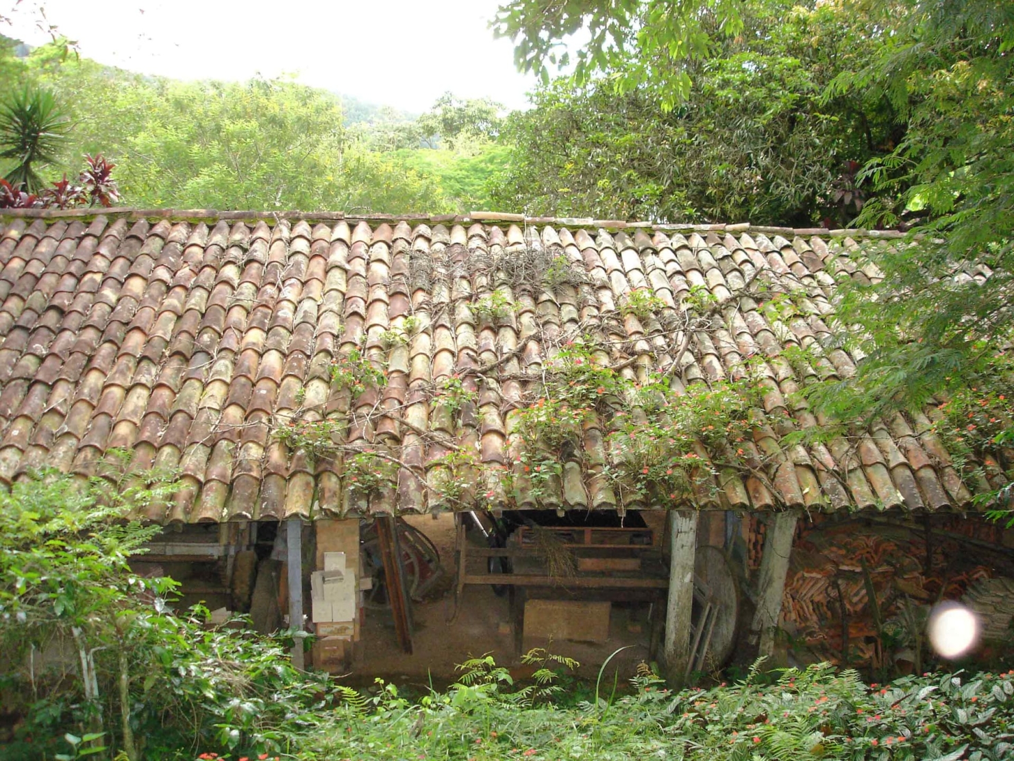 Sítio à venda com 3 quartos, 500m² - Foto 12