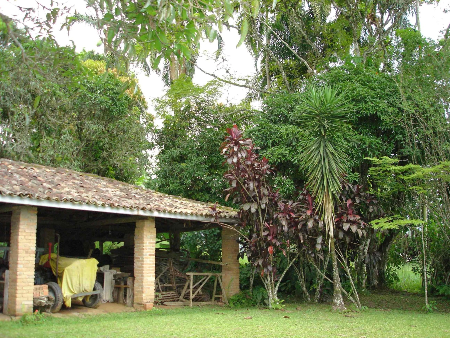 Sítio à venda com 3 quartos, 500m² - Foto 13
