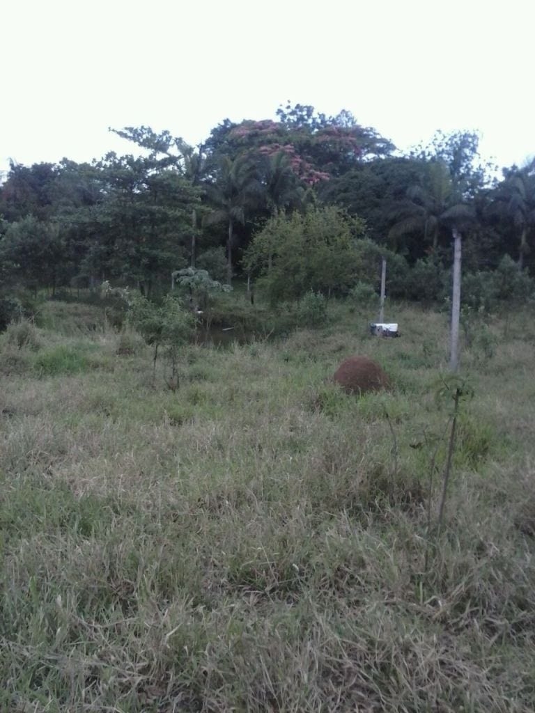 Chácara, 2 quartos - Foto 1