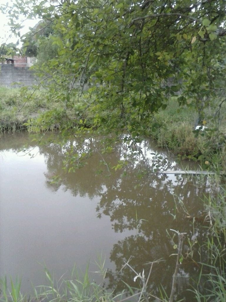 Chácara, 2 quartos - Foto 3