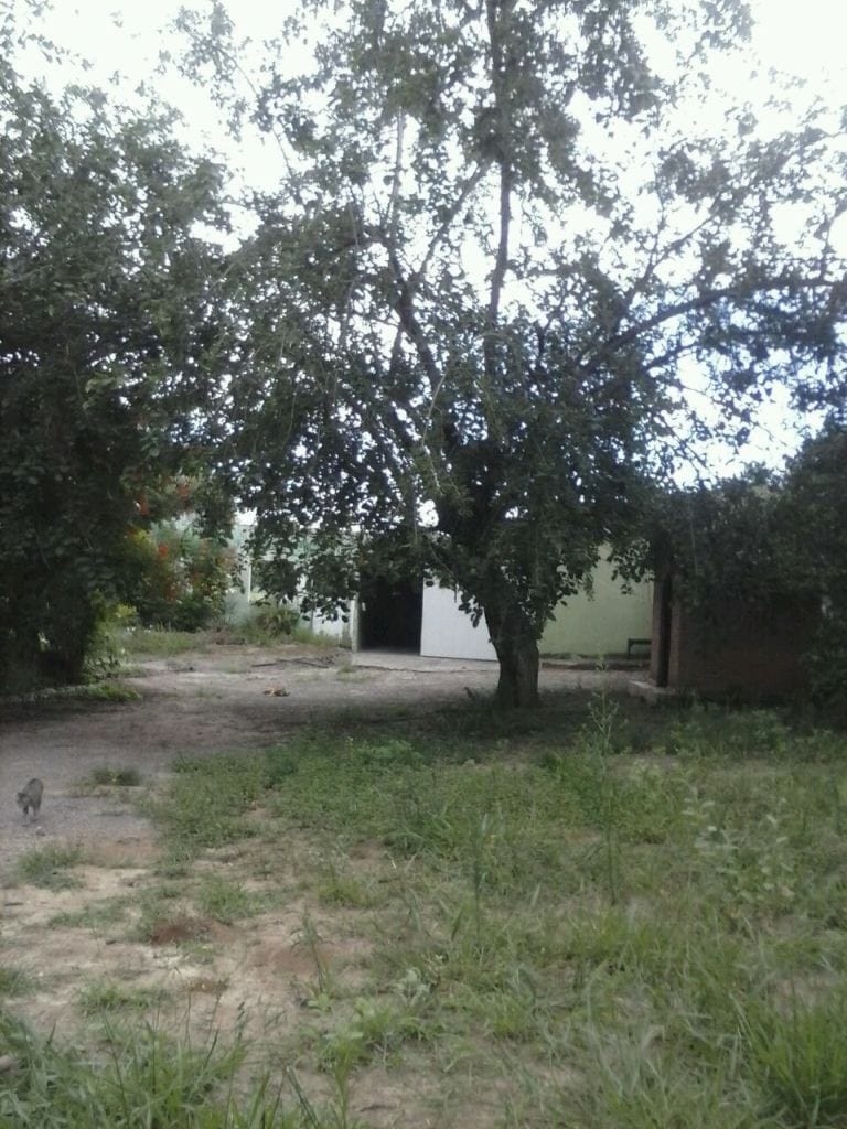 Chácara, 2 quartos - Foto 6