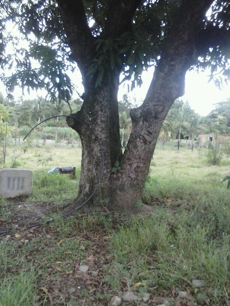 Chácara, 2 quartos - Foto 9