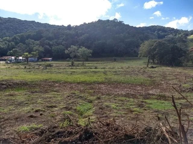 Terreno, 7 hectares - Foto 3