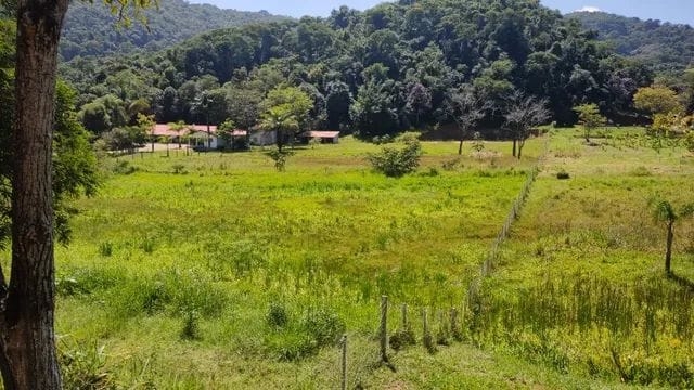Terreno, 7 hectares - Foto 4
