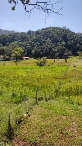 Terreno, 7 hectares - Foto 6