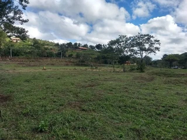 Terreno, 7 hectares - Foto 7