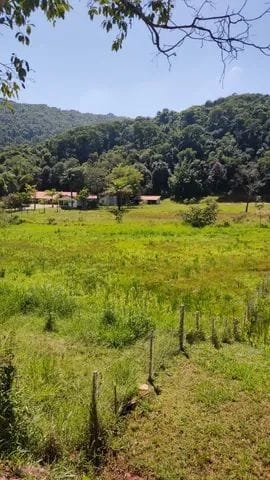 Terreno, 7 hectares - Foto 8