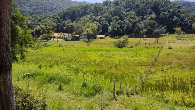 Terreno, 7 hectares - Foto 9