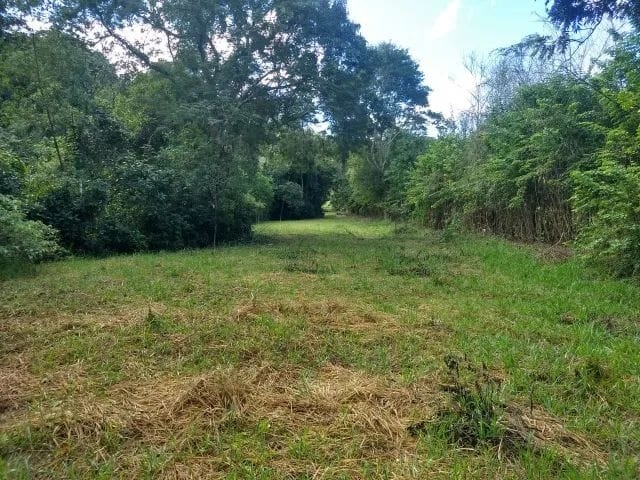 Terreno, 7 hectares - Foto 10