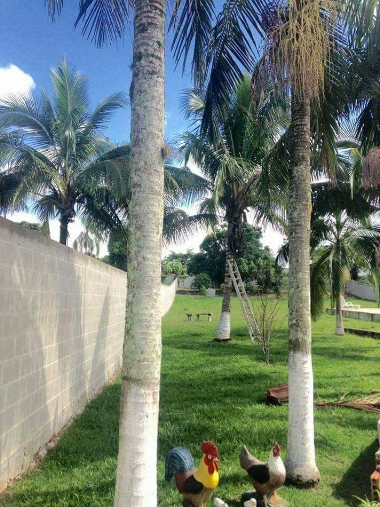 Chácara, 2 quartos, 2700 m² - Foto 6