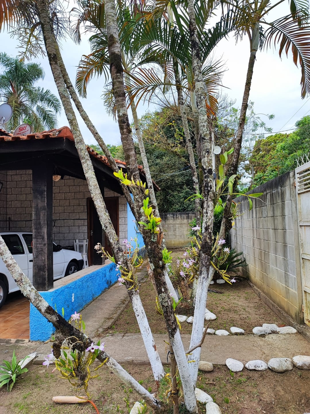 Chácara, 2 quartos, 2700 m² - Foto 27