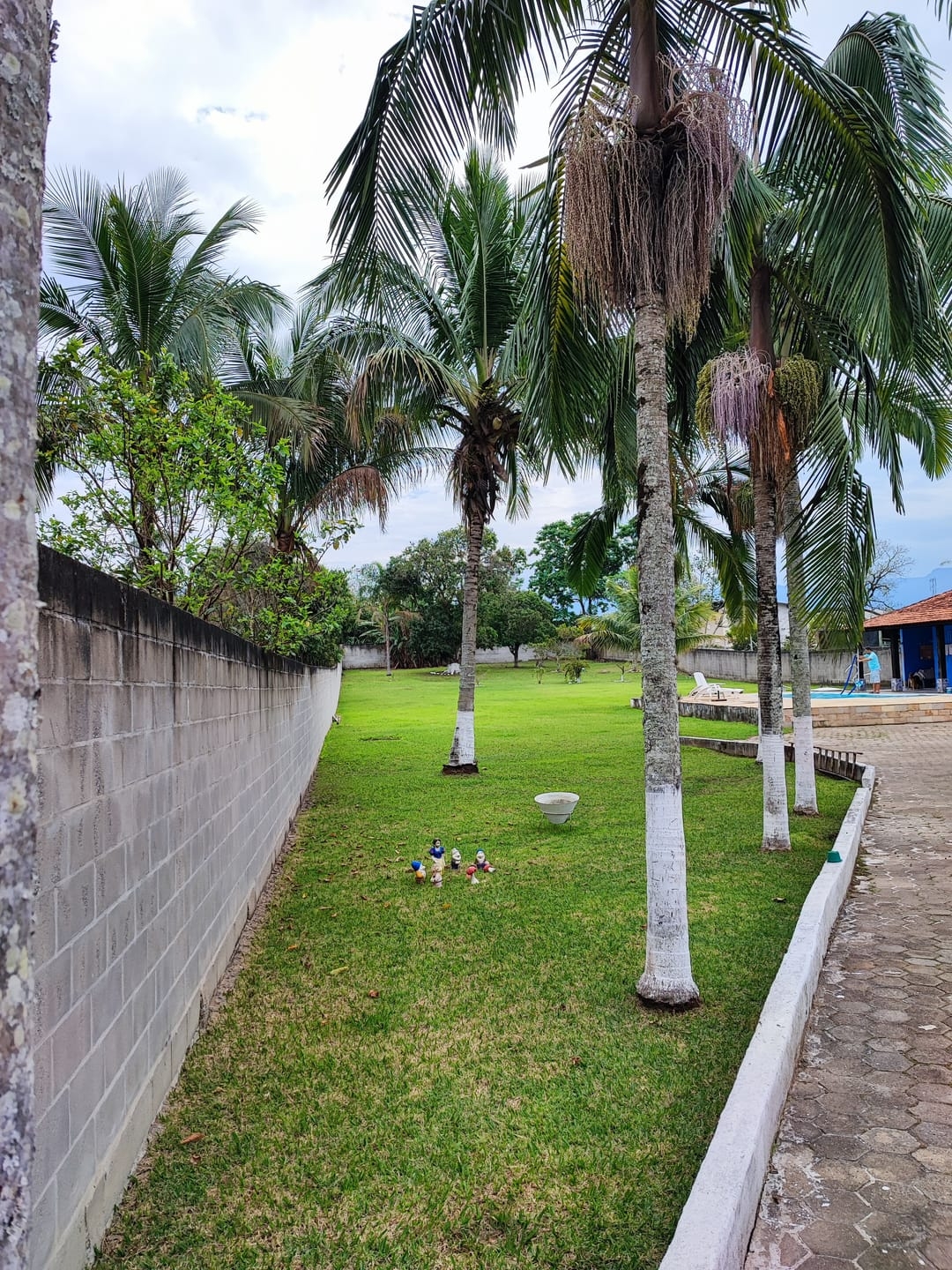 Chácara, 2 quartos, 2700 m² - Foto 37