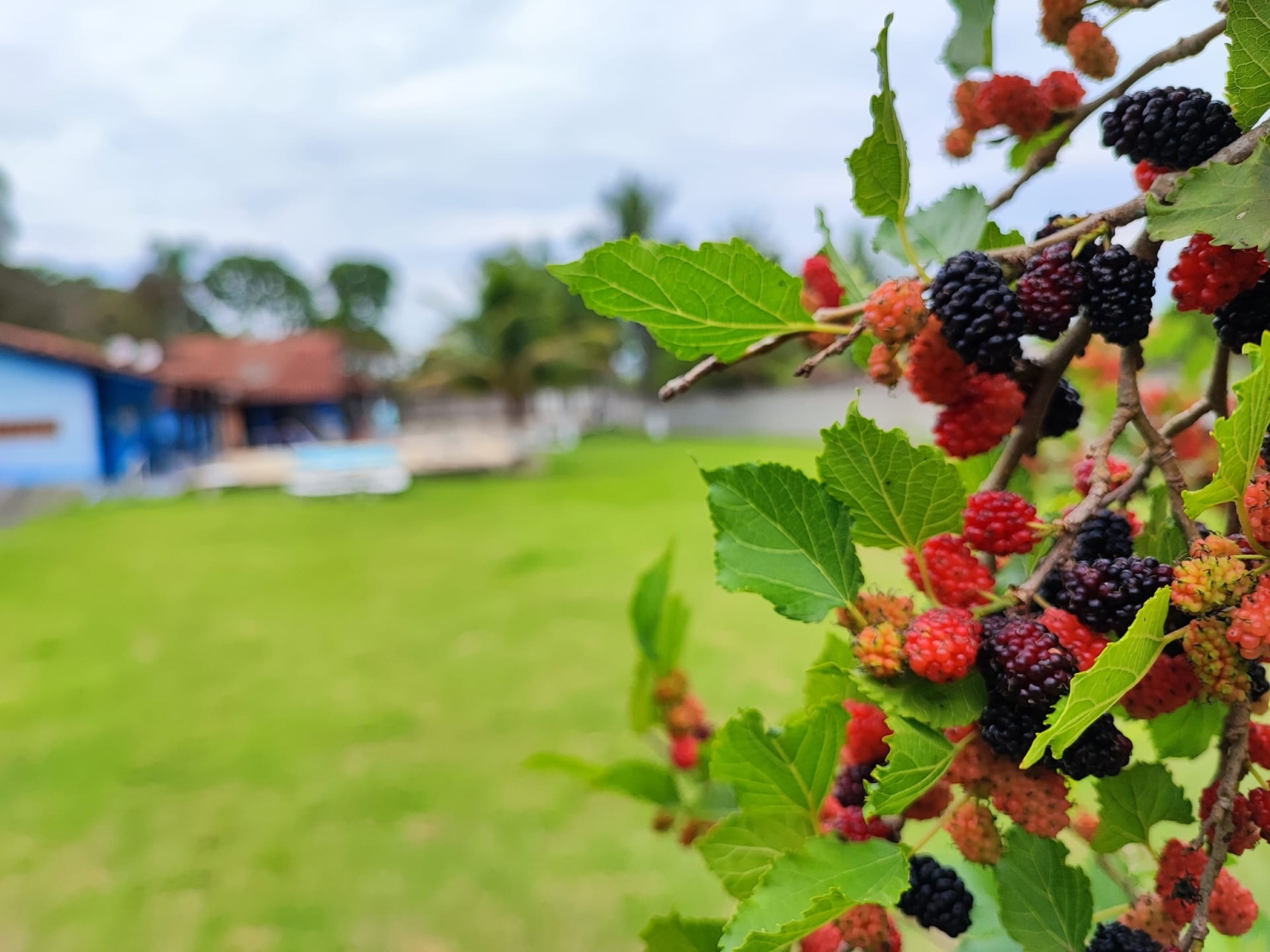 Chácara, 2 quartos, 2700 m² - Foto 45