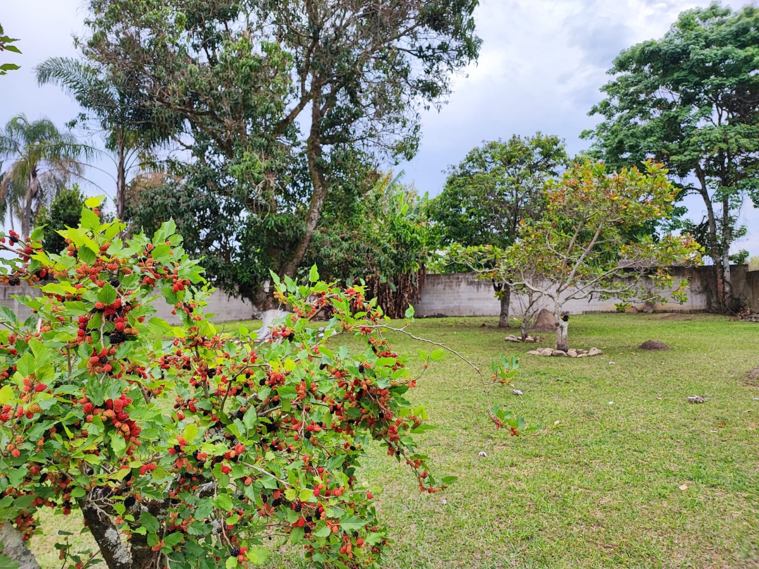 Chácara, 2 quartos, 2700 m² - Foto 46