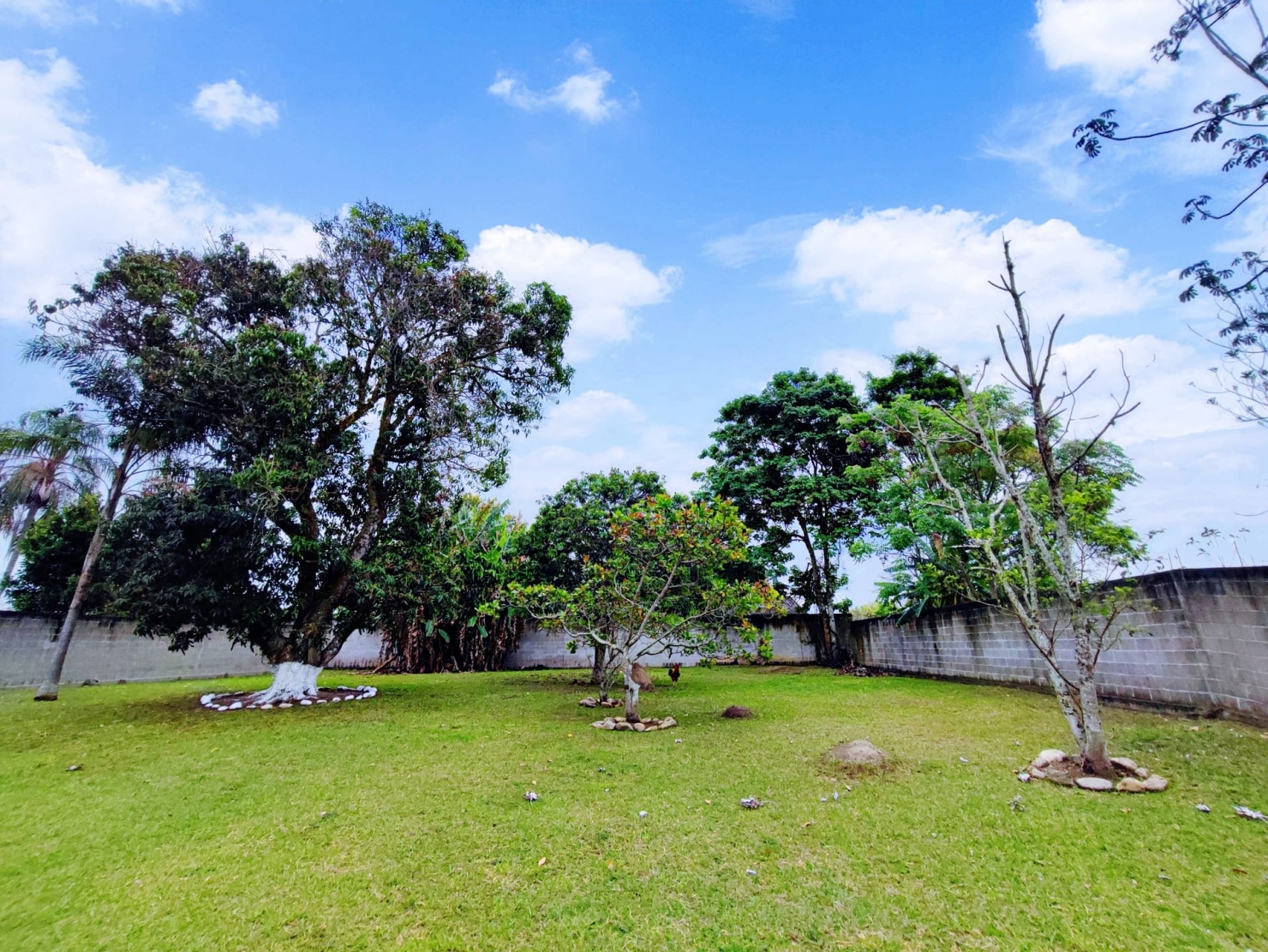 Chácara, 2 quartos, 2700 m² - Foto 49