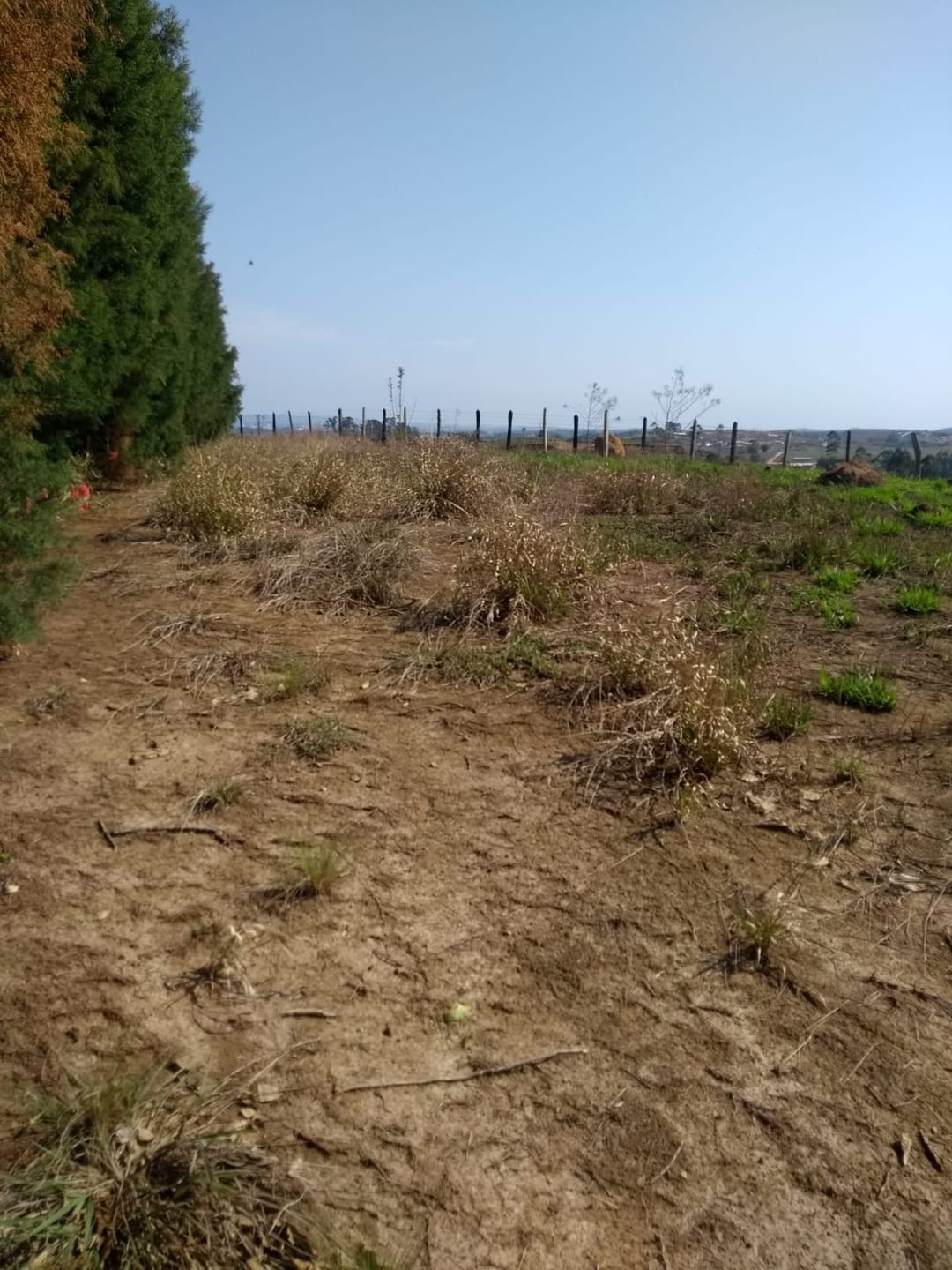 Terreno, 1500 m² - Foto 6