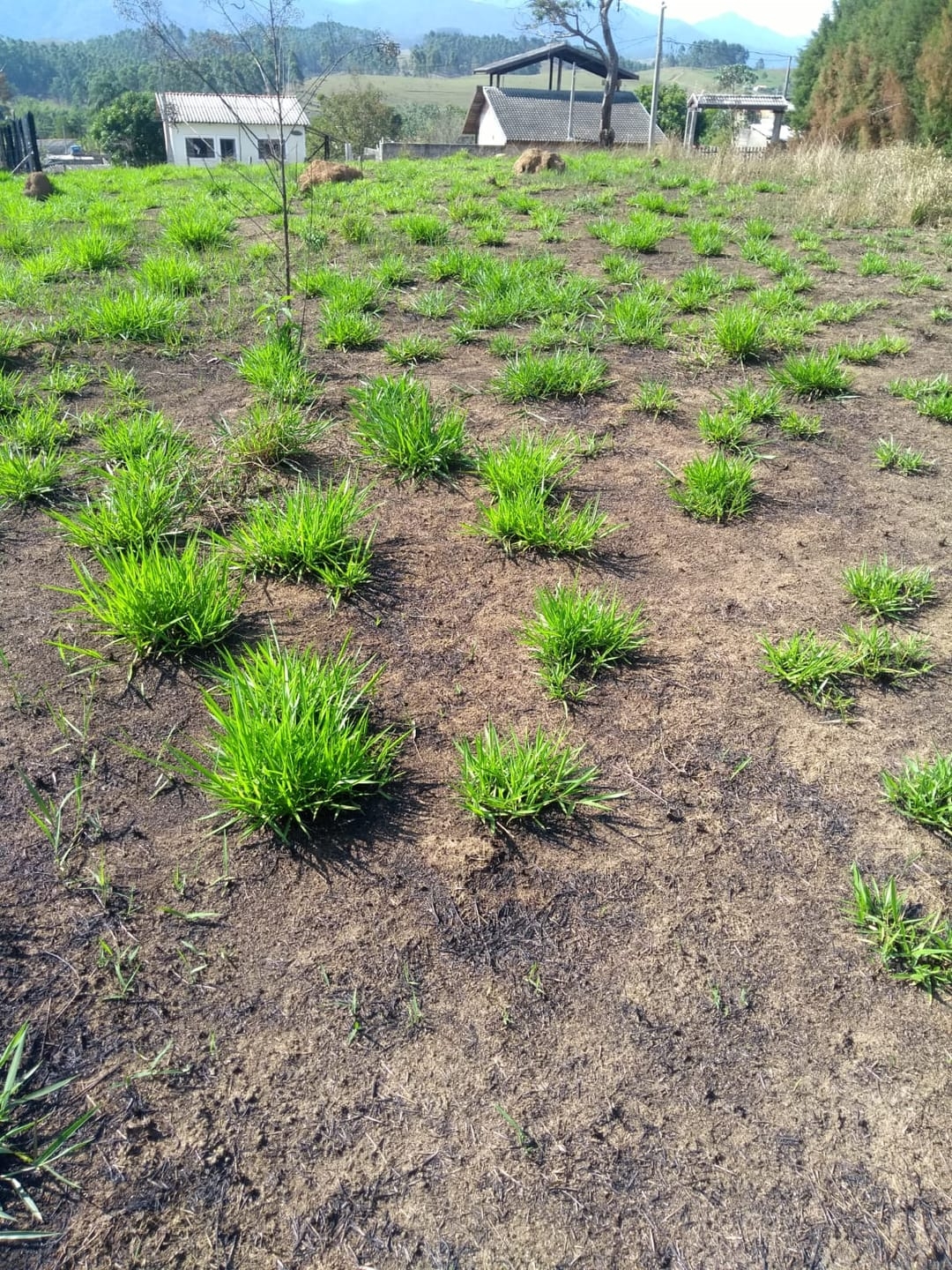 Terreno, 1500 m² - Foto 12