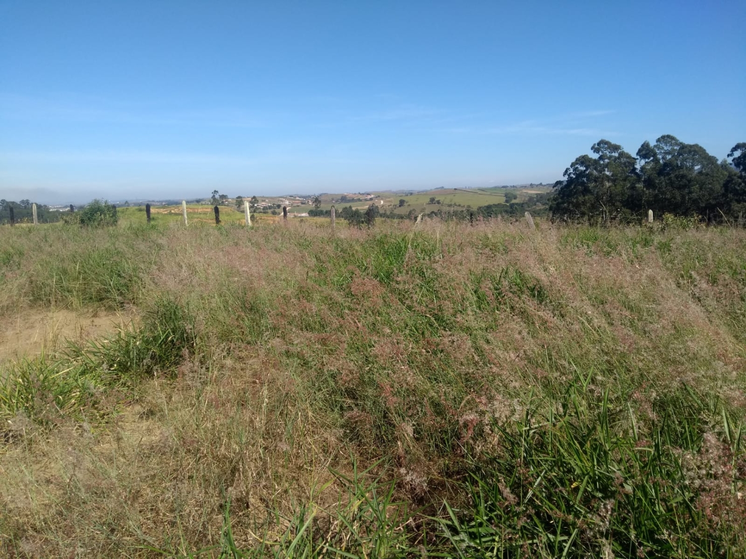 Terreno, 1500 m² - Foto 13