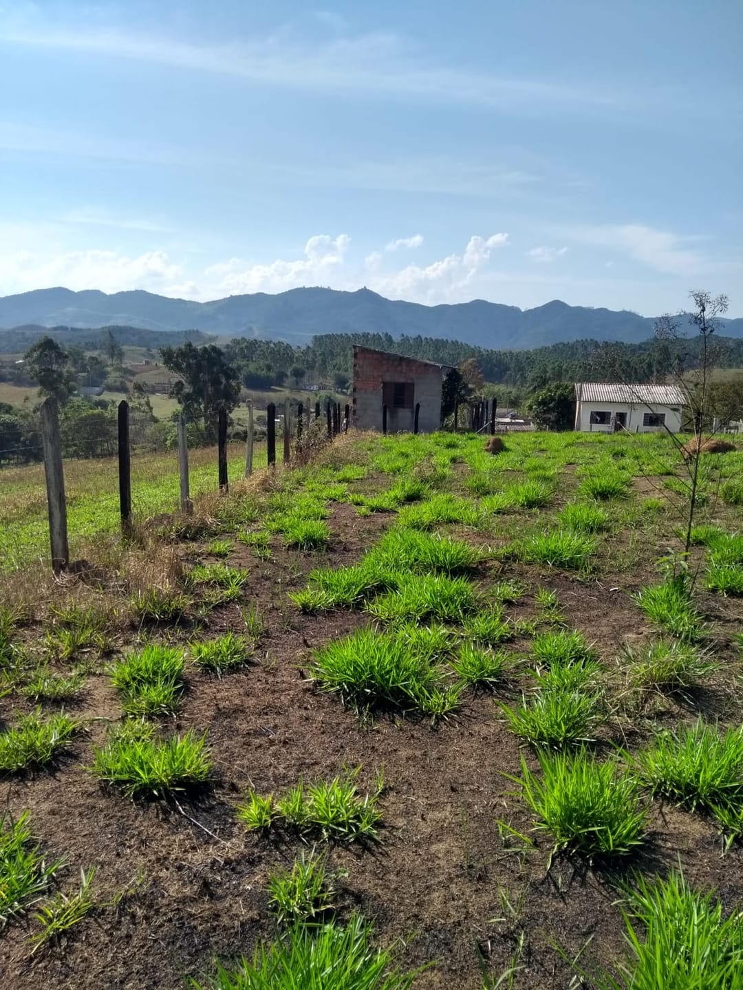 Terreno, 1500 m² - Foto 14