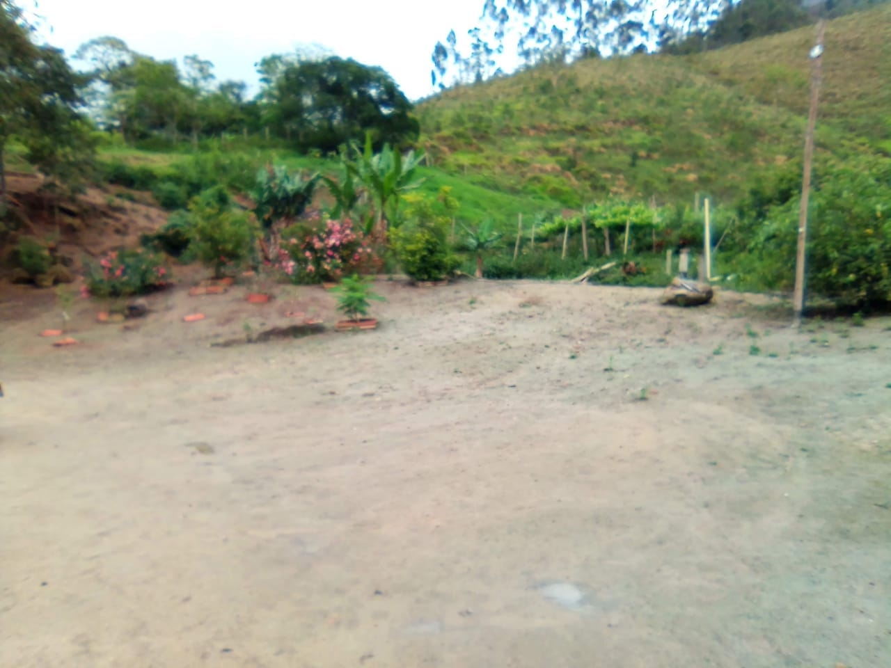 Sítio, 3 quartos, 25 hectares - Foto 12