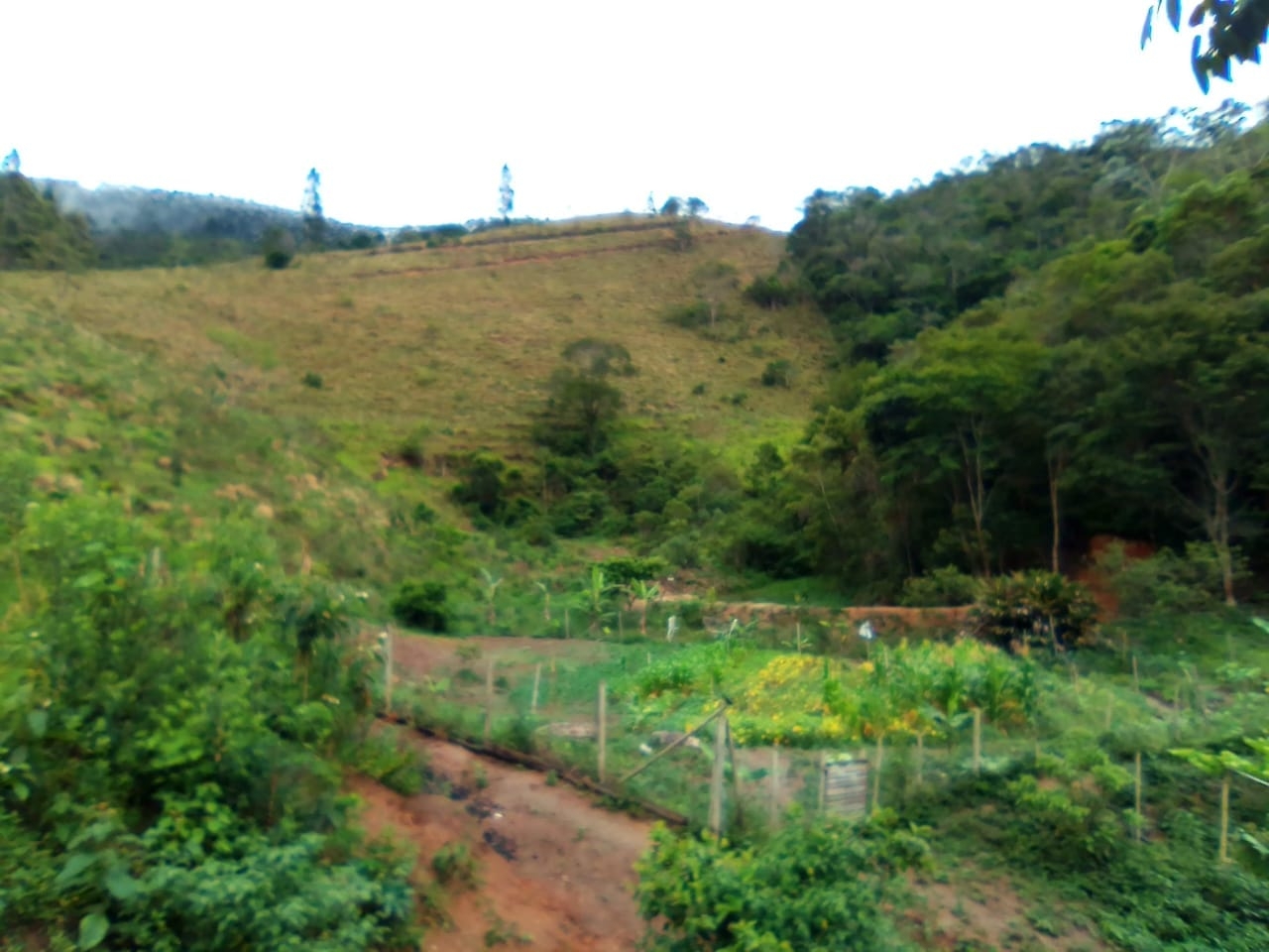 Sítio, 3 quartos, 25 hectares - Foto 13